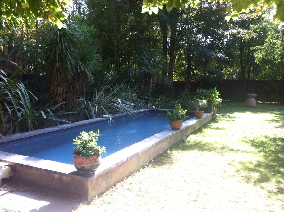 Piscine - Bassin de nage