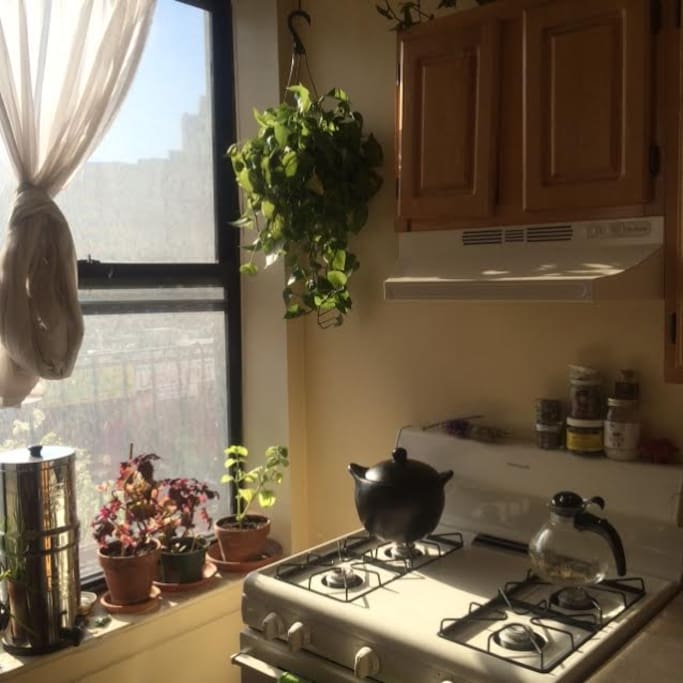 Fully stocked kitchen. A great place to cook!