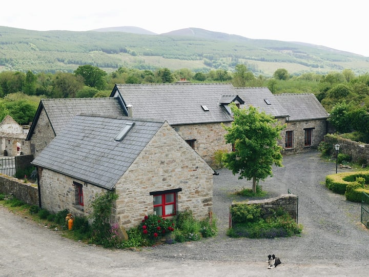 Enclosure in Mullinahone