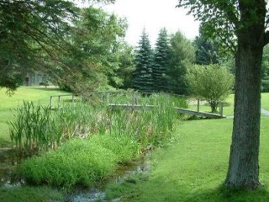 Enjoy a walk around the property