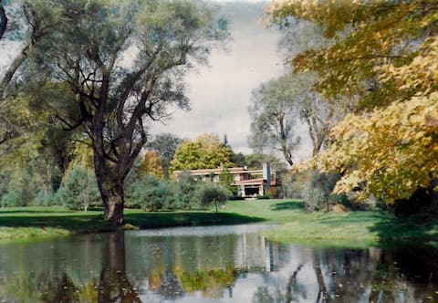 Willowbrook: A Sun Filled, Mid-century Modern Home