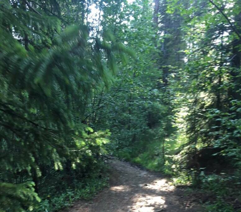 This hiking or biking trail picks up next to the snowflake lift, right across the street from your condo! You can make a loop of it and connect to the 4 o’clock run to come back down, or do an out and back hike.