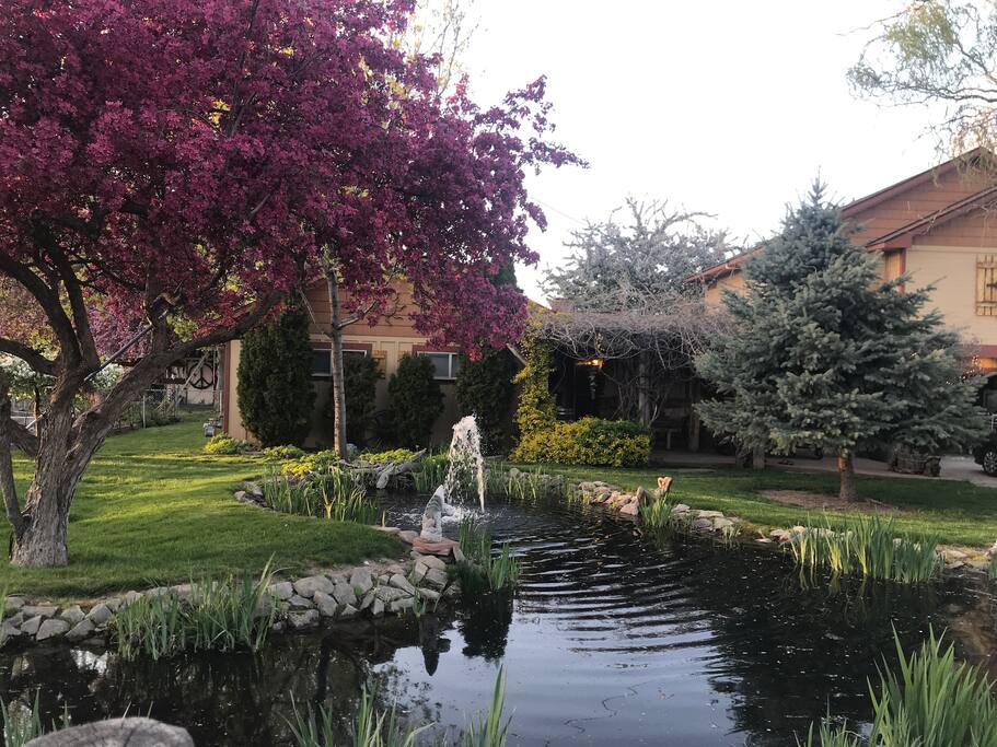 Front yard