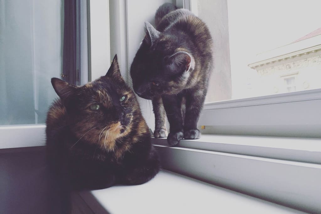 Annie and Nara