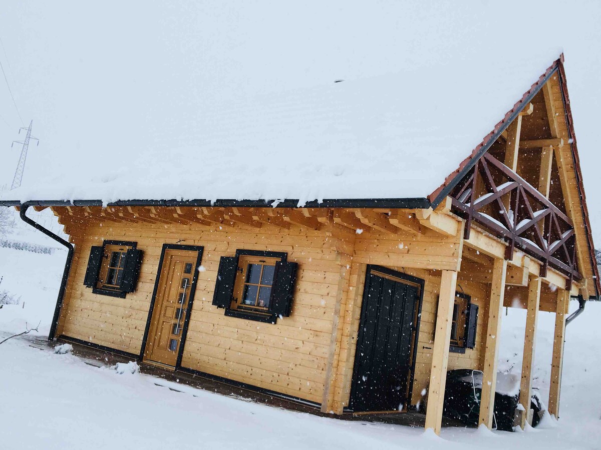 A wooden log house is partially covered by snow, showcasing a sloping roof and decorative eaves. Dark window frames contrast with the natural wood exterior. The entrance features a glass door, and a porch is supported by wooden beams, enhancing the inviting appearance of the home.