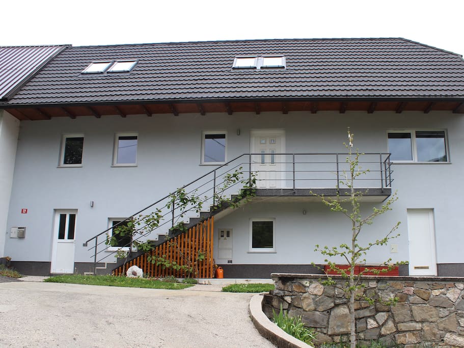 front of the house