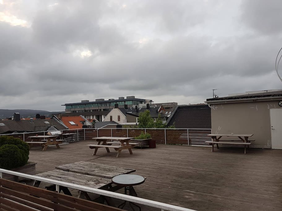 Terrasse mot øst.