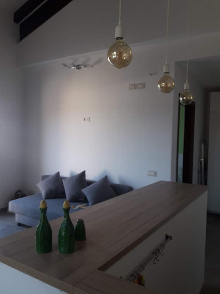 Nice Villa By The Sea With Large Private Garden - Anzio