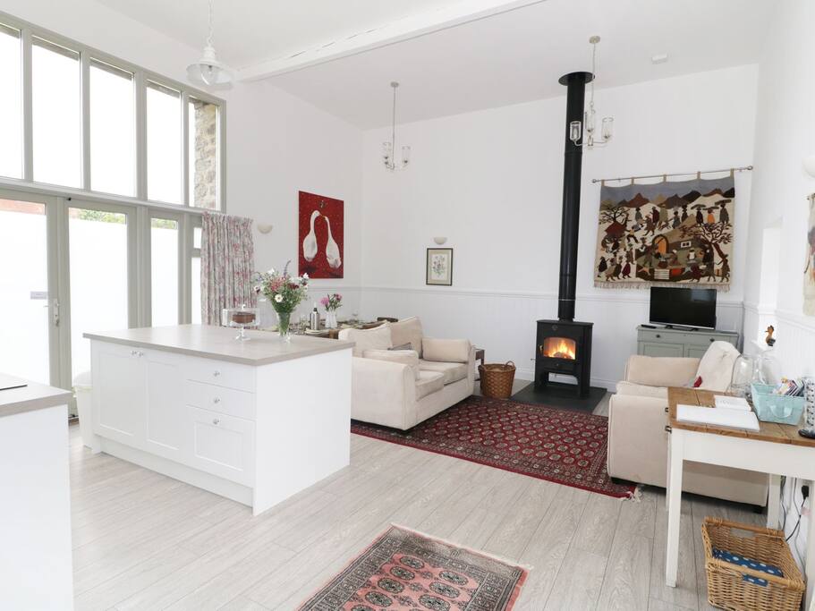 clear view wood burning stove