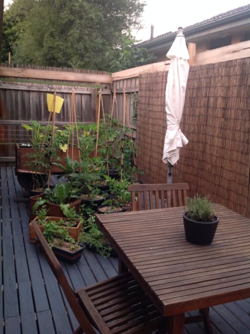 Backyard Deck