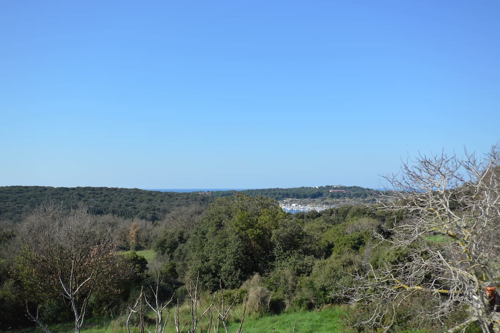 view from the balcony