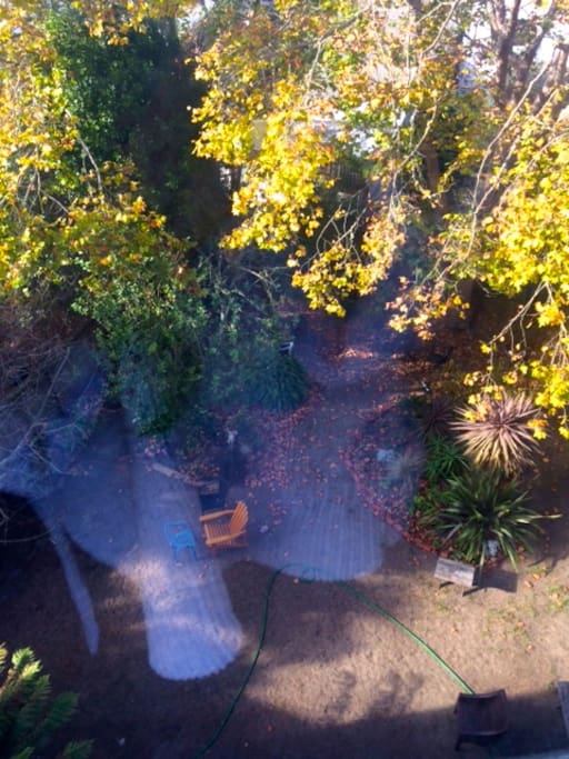 Backyard--view from back bedroom.