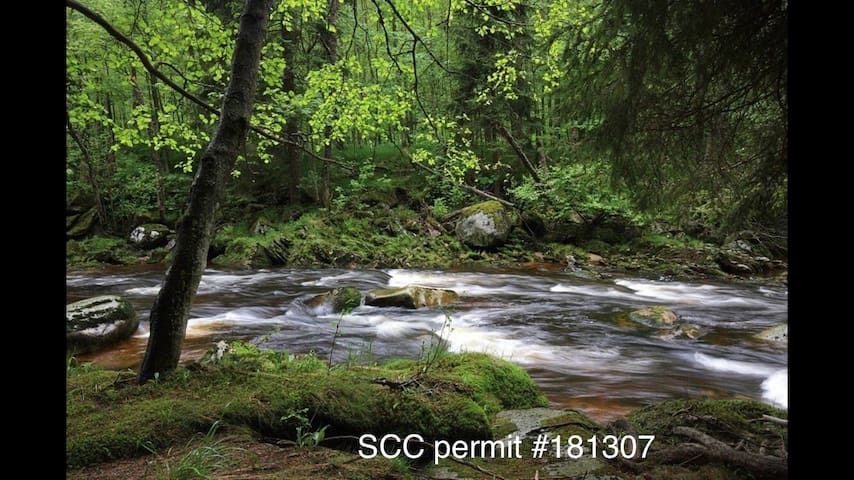 Redwood Riverfront Getaway