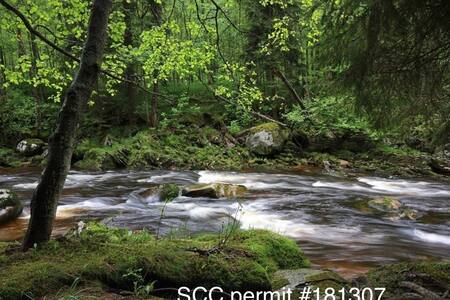 Redwood Riverfront Getaway