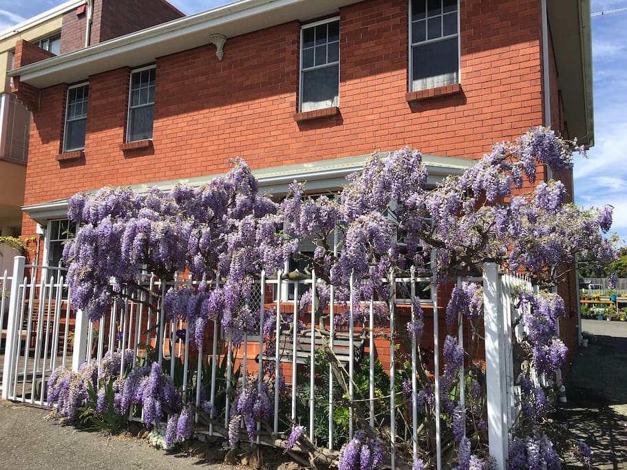 Springtime view of property