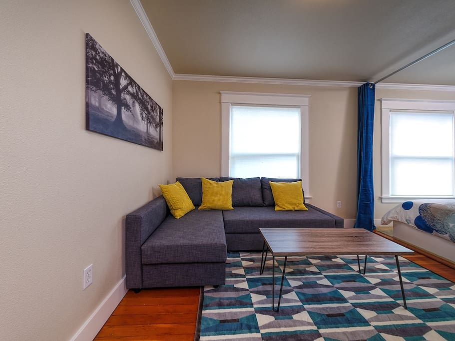 Comfortable couch with pullout sofa
