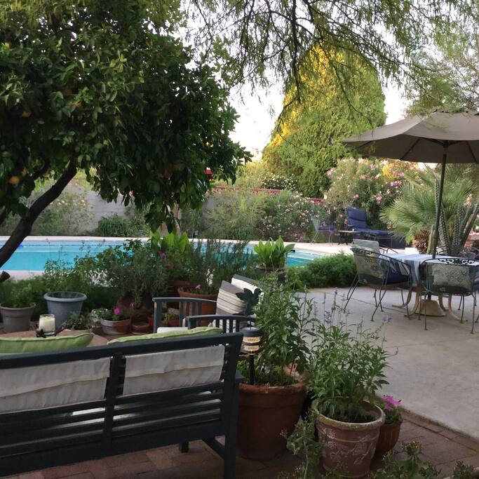 Enjoy all the green spaces.