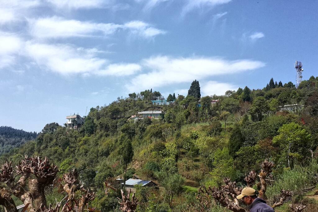 The Colonels Den in the lap of nature on the Hilltop