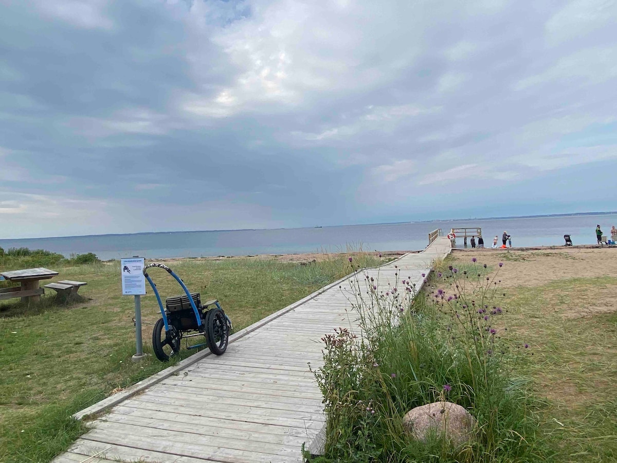 A wooden boardwalk extends toward the calming sea, with a sandy beach on either side. A beach wheelchair is parked beside a sign, and tall grasses with purple flowers frame the path. The sky is overcast, enhancing the serene coastal atmosphere.