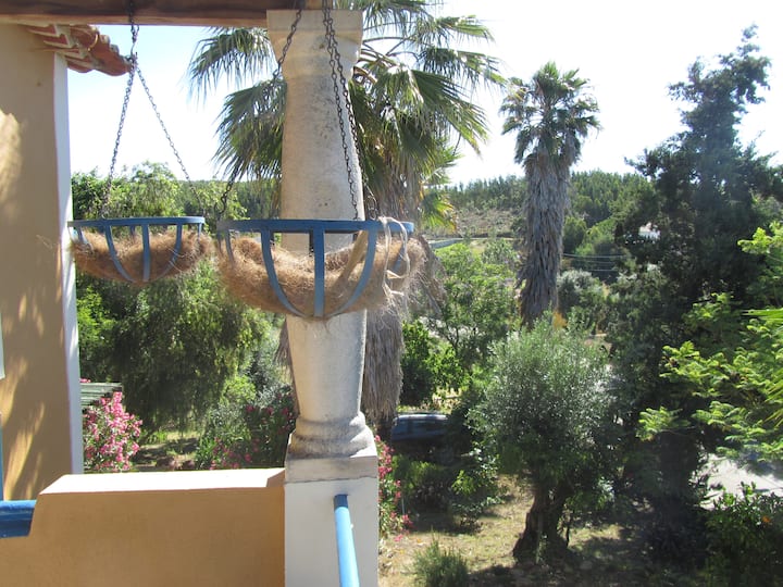 Iris b&b Casa Amarela