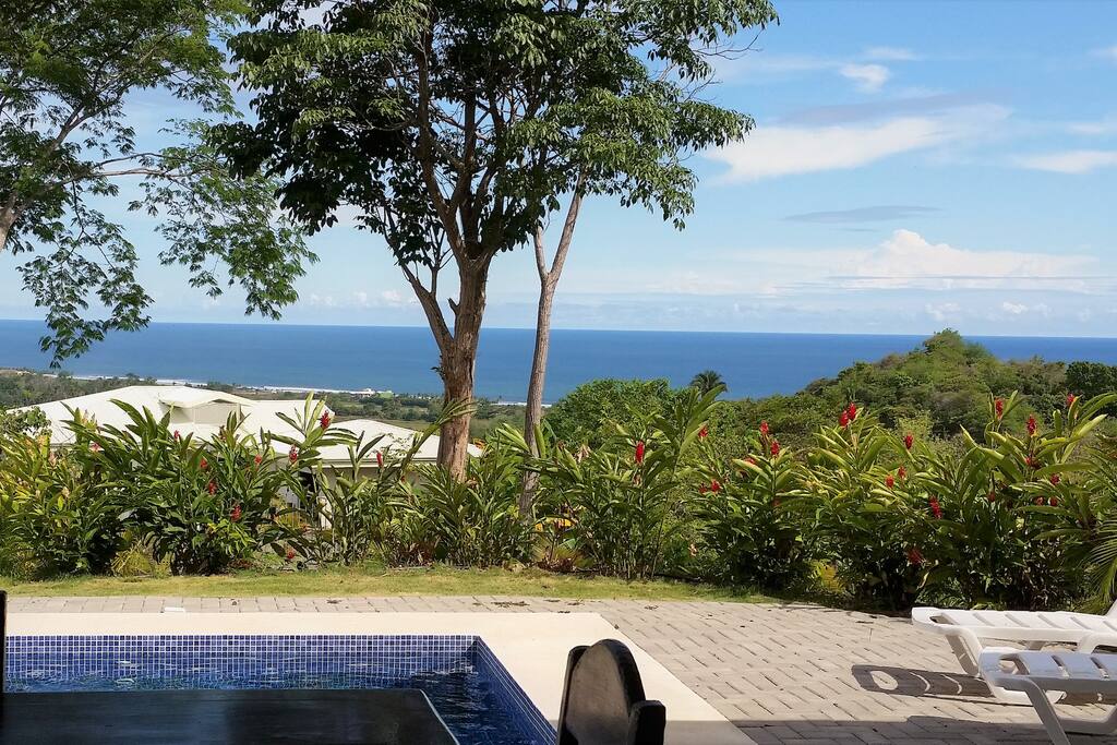 Your View - the ocean, the valley, the birds, the monkeys & the flowers