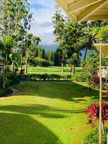 Barefoot Bungalow gallery image 3