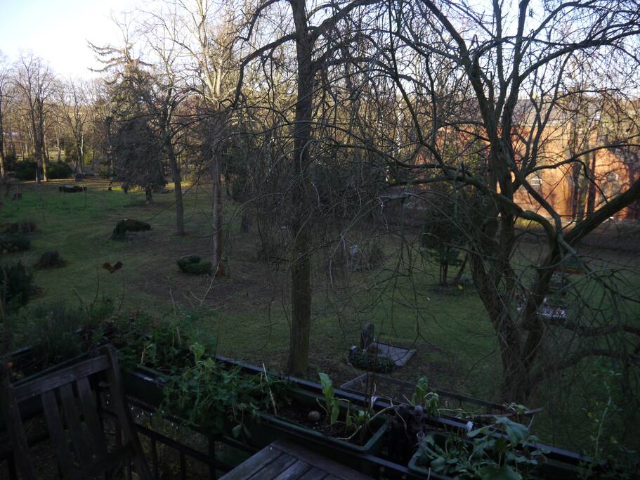 View on the park
