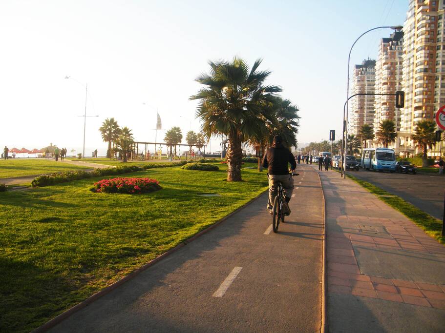 PASEOS A PASOS DEL DEPTO.