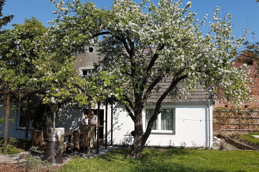 Home under the apple tree