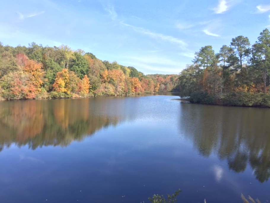 Serene private lake setting 2 miles from UGA Arch/downtown & 1.6 miles to stadium