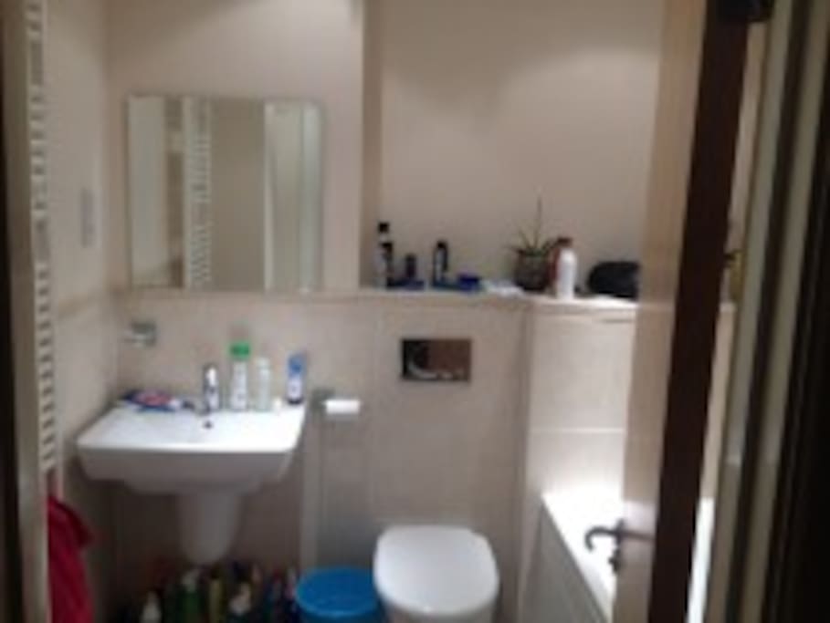 Main Bathroom