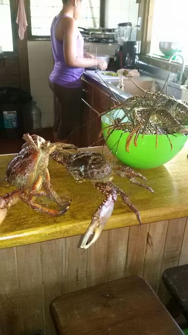 Langostas y cangrejos comprados a los pescadores