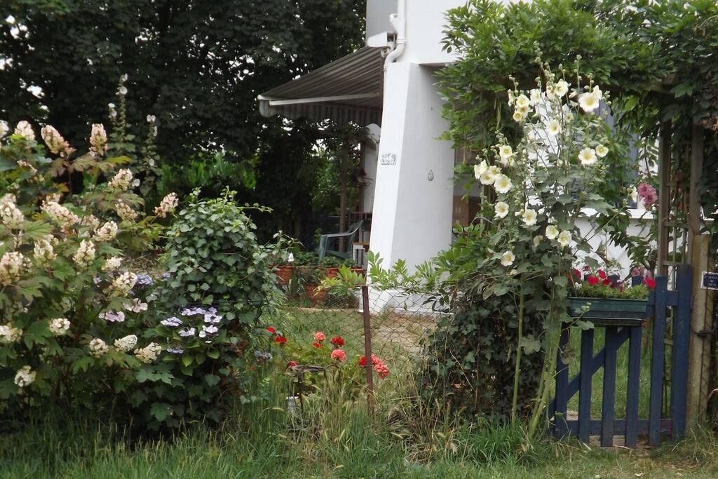 En été, une entrée fleurie