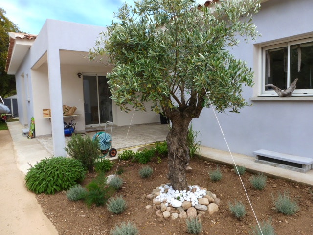 Popular Airbnb listing: Corsitude (the Corsican attitude) in Zonza