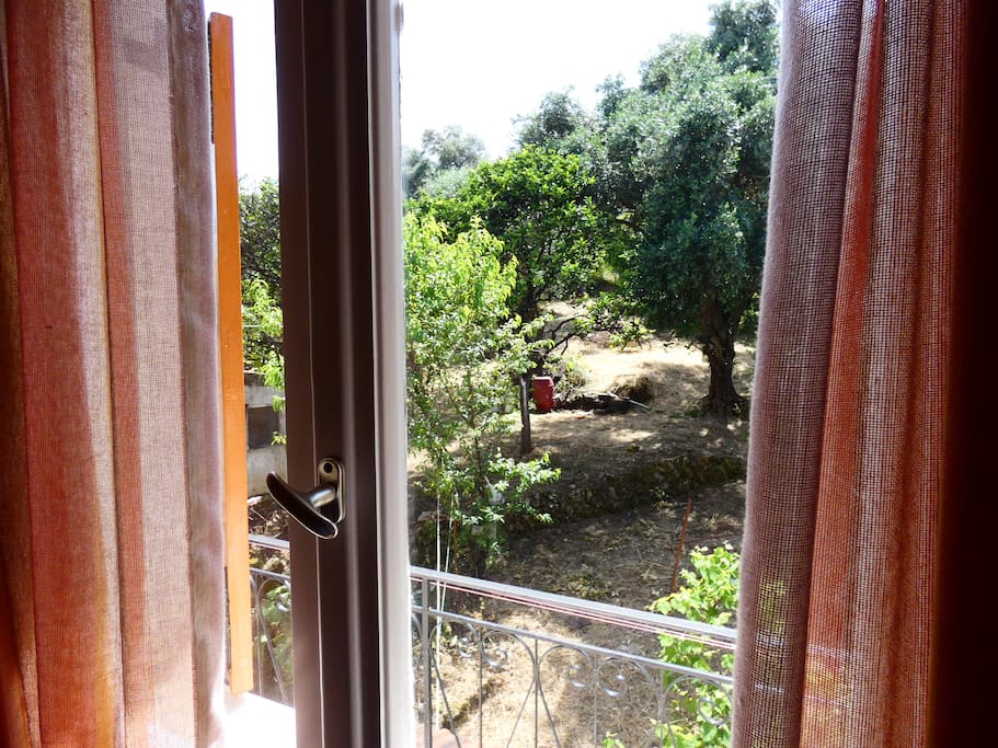 View to garden