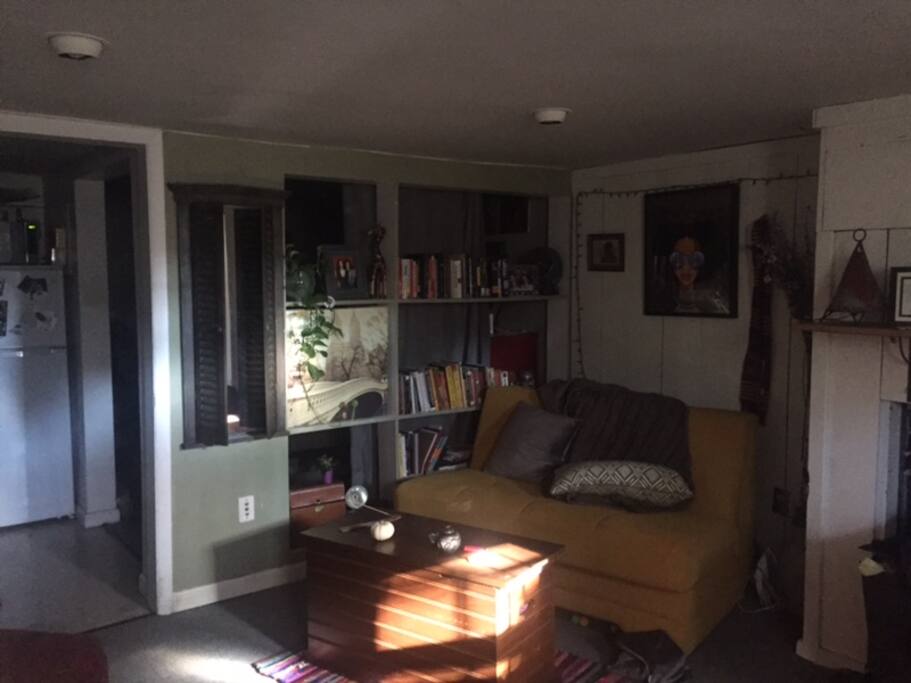 Pull out sofa couch