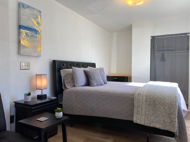 Cozy & Cute Private Apartment Downtown-Queen Bed