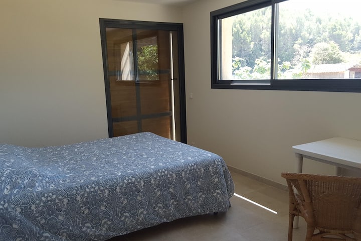 Habitación 1