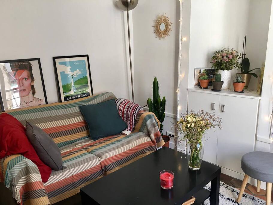 Salon - Living Room