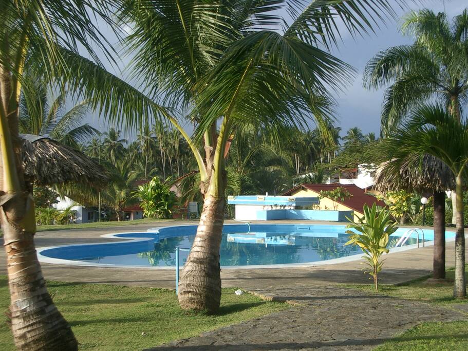 Las Pascualas private swimming pool