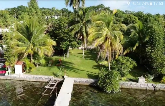 An aerial view captures the expansive green grounds of the guesthouse, featuring lush palm trees and well-maintained grass. A wooden pier extends into the clear water, providing easy access for swimming, while the shaded sitting area invites relaxation amidst the natural surroundings.