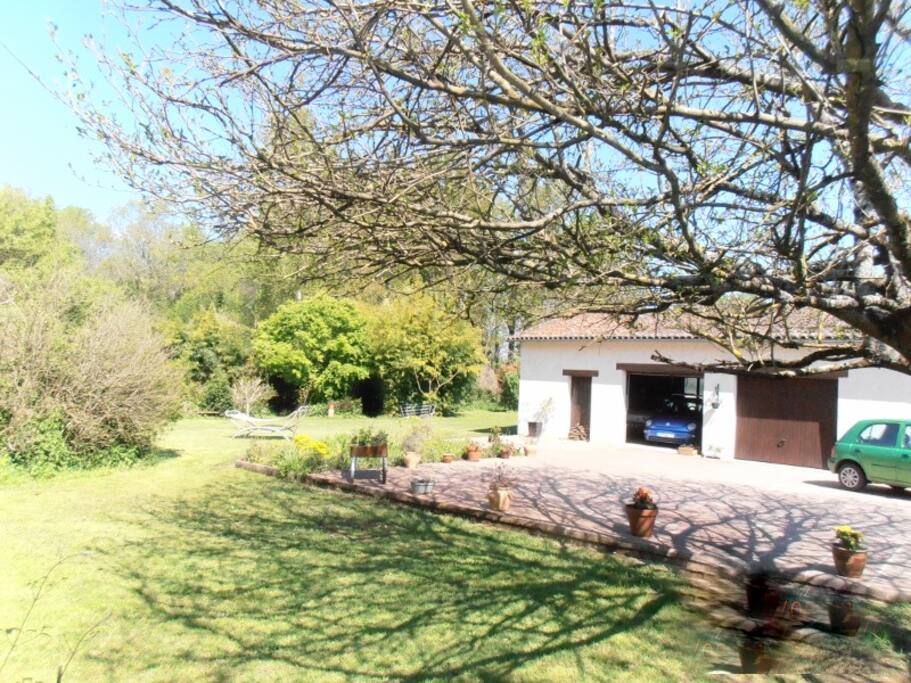 front garden