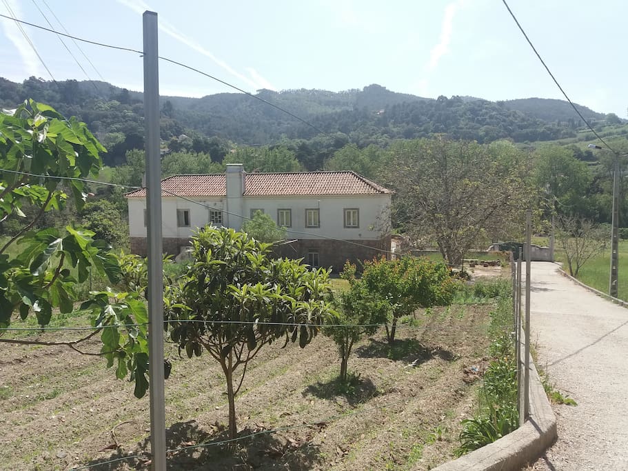 Outside view of the farm