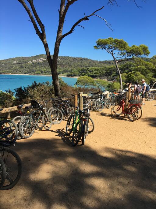 Une plage de Porquerolles et les indispensables vélos.