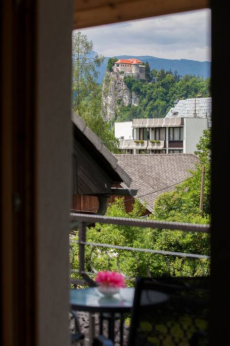 with castle view