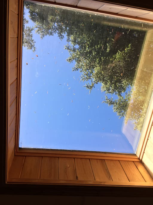 Skylight above the bed