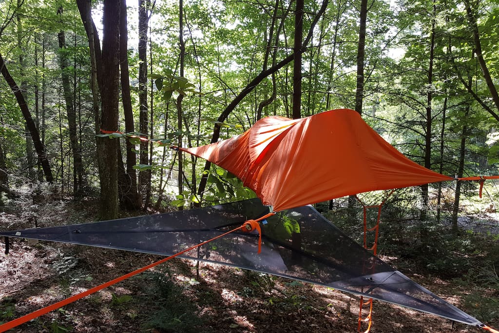 Connect 2 Person Tree Tent - Orange Rainfly with included Tentsile hammock underneath
