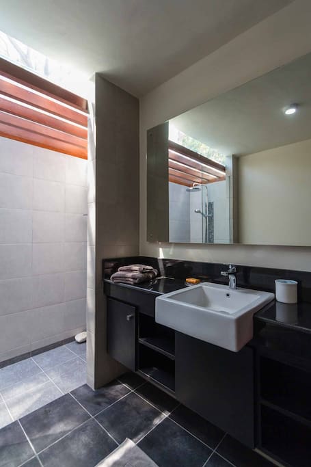 Nicely appointed modern bathroom with open court shower room