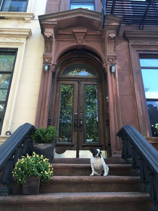 Our greeter and assistant concierge, Calliope.