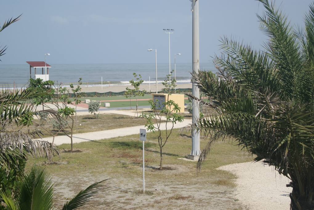 Paseo, playa y mar frente al apartamento...
